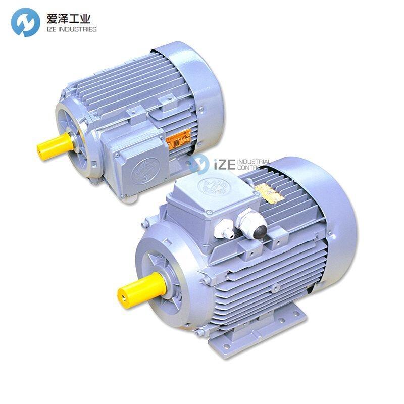 BEHNCKE電機(jī)Q3HFA100L4D40